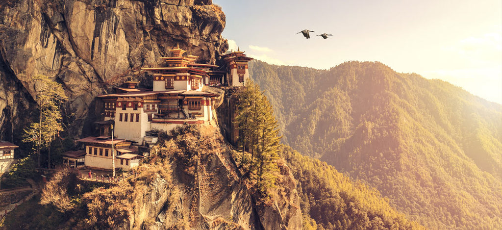 Bhutánban évről-évre nő a kormosfejű darvak száma