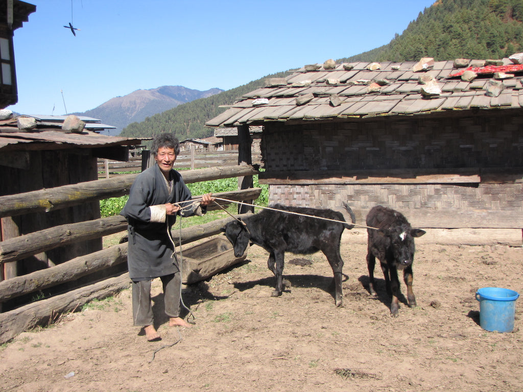 Phobjika Völgy I. - limitált szériás fotográfia különböző méretben és kivitelben - InspiredByBhutan